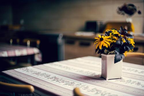 a vase filled with yellow flowers sitting on a table at Winnica Dwie Granice Agroturystyka Przysieki in Przysieki