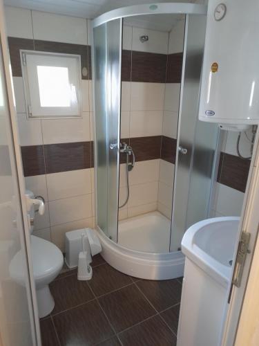 y baño con ducha y aseo. en Vila Veronika ul Dame Gruev 207 Ohrid en Ohrid