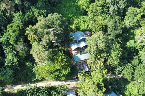 Una vista aérea de Treehouse