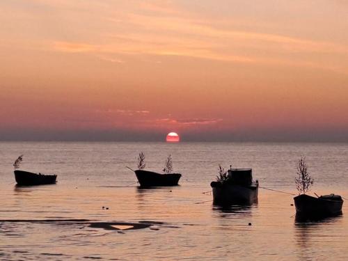 a group of boats sitting in the water at sunset at Lejas in Lapmežciems