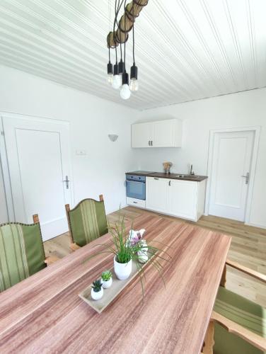 a kitchen and dining room with a wooden table at Appartments am Waldbad - Unterm Nussbaum in Rassing