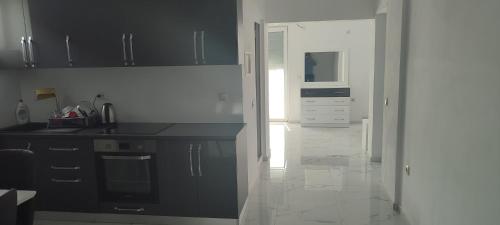 Golem Apartment Luxuryにあるキッチンまたは簡易キッチン