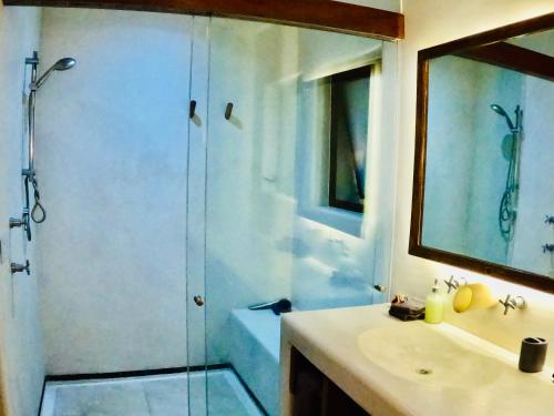 a bathroom with a shower and a sink and a mirror at Casa de Ali: Located on the beach! in Zihuatanejo