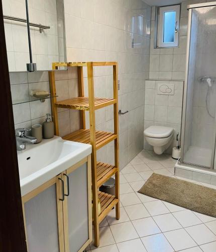 Un baño con lavabo, inodoro y ducha. en BergNest Großwalsertal, en Raggal