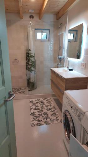a bathroom with a washing machine and a sink at Huisje de Linde in Wolvega