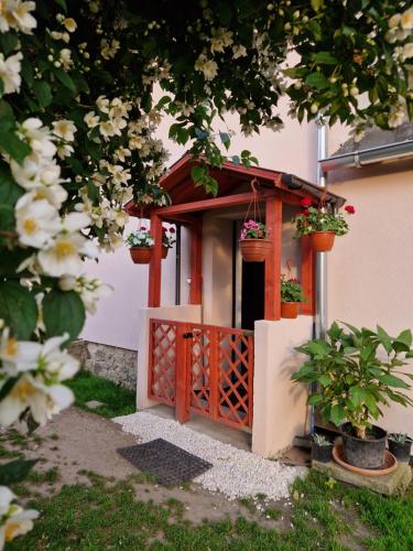 Apartament Strzyżowiec 80