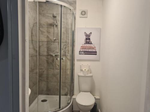 a bathroom with a shower and a toilet at Super airy studio, free parking in Birmingham