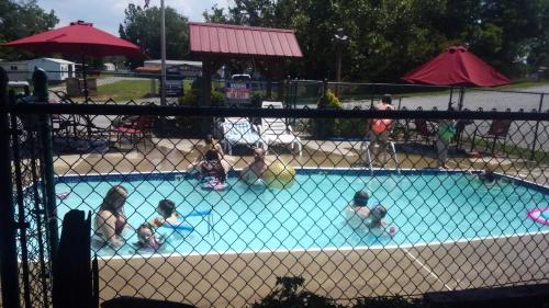 Bay Springs Country Inn & Marina في سنتر: مجموعة من الناس يلعبون في حمام السباحة