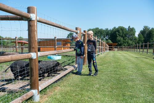 two people standing in front of a fence with sheep at Wellness zoo apartmány Lhota in Lomnice nad Lužnicí