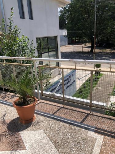 een plant in een pot naast een hek bij Art House Hostel Aleksandr in Koetaisi
