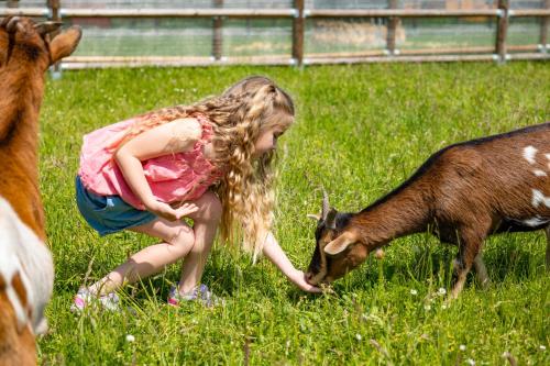 a little girl petting a goat in a field at Wellness zoo apartmány Lhota in Lomnice nad Lužnicí