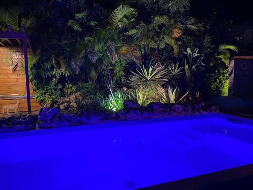 a swimming pool in a garden with blue lights at Kaz bleu karaibes in Sainte-Anne
