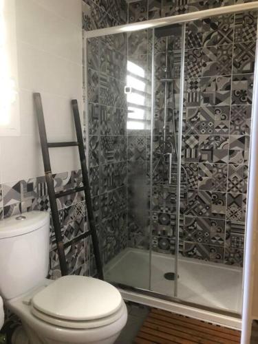 a bathroom with a toilet and a shower at Kaz bleu karaibes in Sainte-Anne