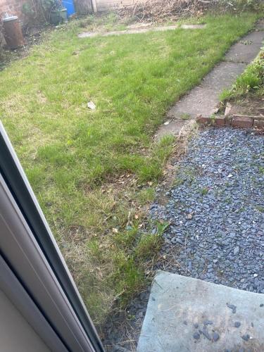 a window view of a yard with grass and gravel at IServe in Parkside