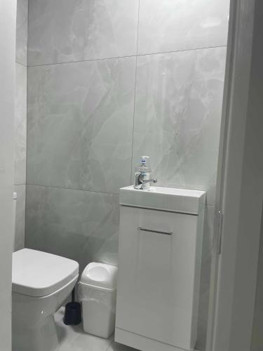 a white bathroom with a toilet and a sink at Studio flat private bathroom wc and kitchenette in London