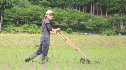 Gallery image of 1日1組限定 体験型古民家宿"ハレハレ" 超新鮮卵かけご飯付き-自給自足を営む若夫婦がセルフビルドした宿- 平飼い卵の収穫と五右衛門風呂沸かし体験付き in Ichiarakawa