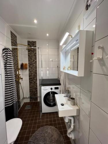 a small bathroom with a sink and a washing machine at Fresh And Cozy Little House 45km In Täby in Stockholm