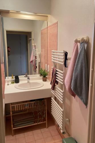 une salle de bain avec un lavabo et un miroir dans l'établissement 95M2 Résidence Nouveau Golf, à Saint-Raphaël