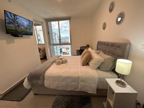 New Luxury Apartment 12th Floor في سان خوسيه: غرفة نوم بسرير كبير مع تلفزيون على الحائط