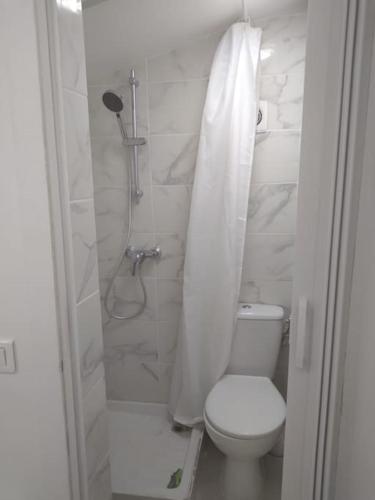 ein Bad mit einem WC und einer Dusche mit einem Duschvorhang in der Unterkunft Très joli petit studio aux portes Paris in Ivry-sur-Seine