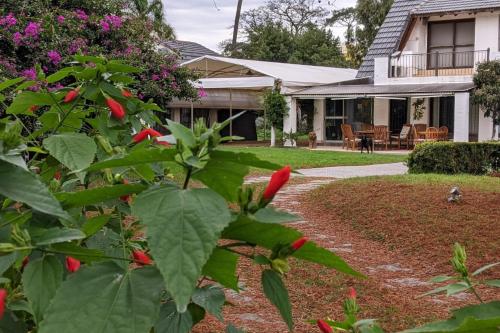 vistas a una casa desde el jardín en Ars Amici Hotel, en Punta del Este