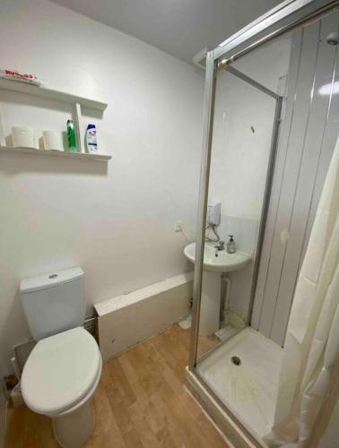 a white bathroom with a toilet and a sink at RHB Apartments in Leicester