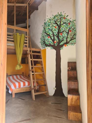 Finca Soley – Photos 2