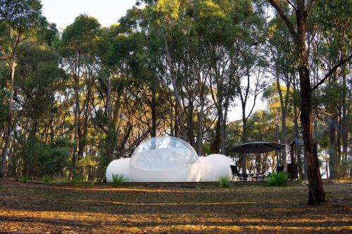 Jardín al aire libre en Skyview Bubbletent
