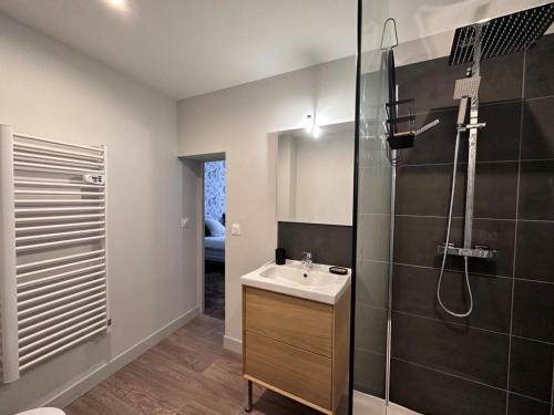 Koupelna v ubytování Studio de charme 30m², centre historique de Moulins, 2 lits jumelables, tout équipé, proche commodités - FR-1-489-472