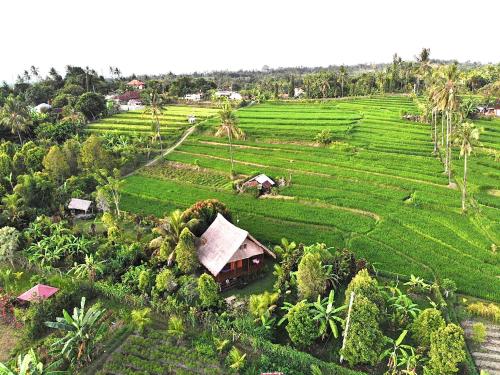 an aerial view of a house in a green field at Cute Eco Cottage Near 7 Waterfalls in Singaraja