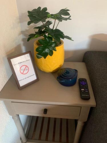 a plant in a yellow pot on a table with a remote control at Acogedor departamento en Nogales in Heroica Nogales