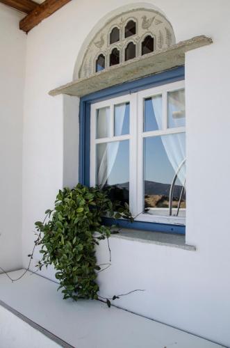 a window on a white building with a green plant at Balcony to the Aegean in Stení