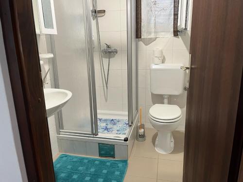 uma casa de banho com um chuveiro, um WC e um lavatório. em Apartment Zmisa em Stara Novalja