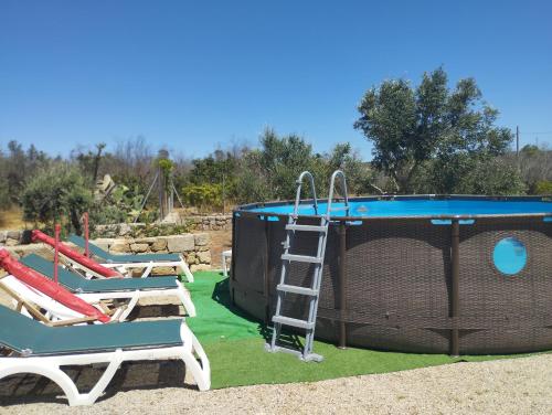 Il roseto di Andrea – Photos 5