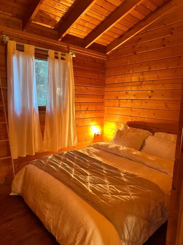 הבלוט - בקתה אינטימית בצל אלון في Abirim: سرير في غرفة خشبية مع نافذة