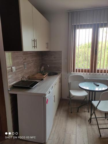 uma cozinha com um lavatório e uma mesa com cadeiras em Vila Čair DOPLATA ZA BAZEN em Sokobanja