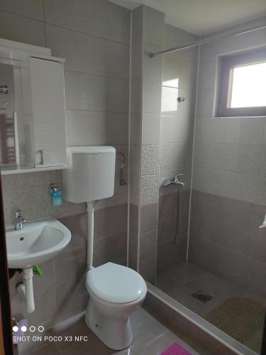 a bathroom with a toilet and a shower and a sink at Vila Čair DOPLATA ZA BAZEN in Soko Banja