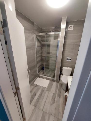 a bathroom with a shower and a toilet at Ancora apartment 5 in Novi Sad
