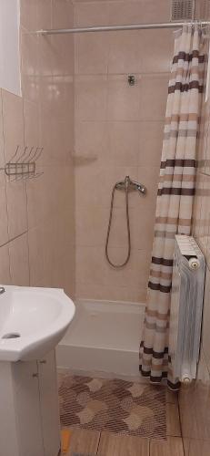 y baño con ducha y lavamanos. en Domek - Leśna Kryjówka, en Promnik