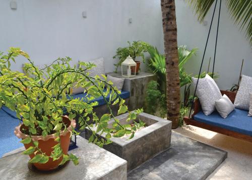 a room with a bunch of plants and a swing at Athirige Private Villa in Dharavandhoo