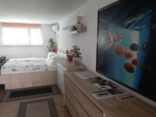 a living room with a large flat screen tv at Apartment Berglez in Škofja Loka
