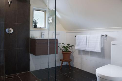 a bathroom with a shower and a toilet and a sink at Zelman Cottage in Hepburn Springs