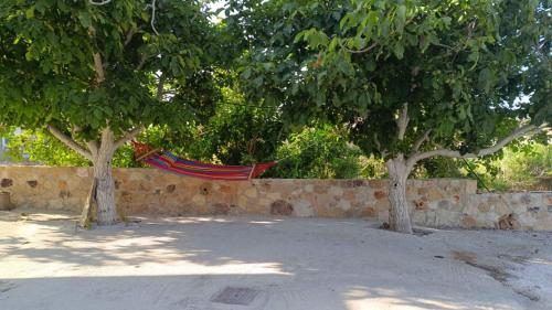 a hammock is hanging between two trees at Arismari House in Ravdhoúkha