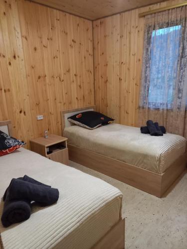 two beds in a room with wooden walls and a window at Частный дом Агарцин in Haghartsin