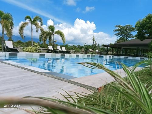 a swimming pool with chairs and palm trees at Villa Royal Palawan in Narra