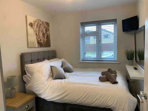 a bed with a teddy bear sitting on top of it at Hedgehog Cottage in Bury Saint Edmunds