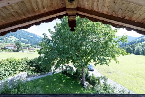 a view from a window of a tree in a field at Apartment Nussbaum in Jochberg