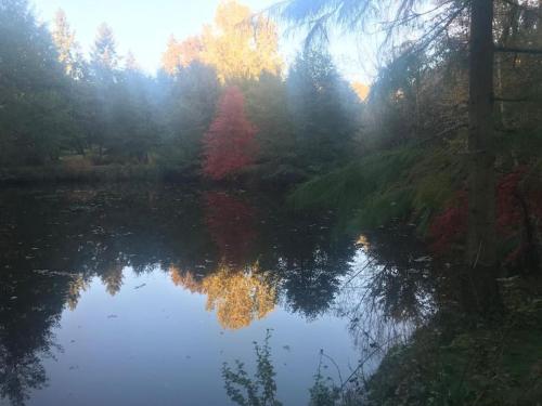 Billede fra billedgalleriet på Charming country house in the forest, with heated pool i Cerdon