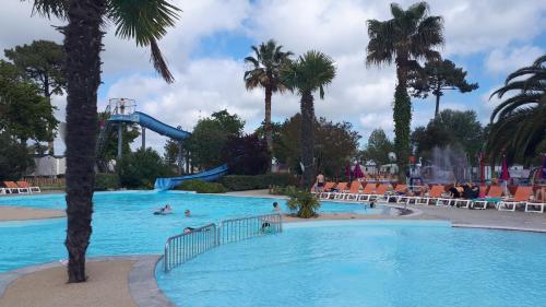 une piscine dans un complexe avec des palmiers et des personnes y séjournant dans l'établissement charmant Mobil-home climatisé - Cap ferret, à Lège-Cap-Ferret