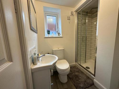 a bathroom with a toilet and a sink and a shower at The Hideaway-Sharples-Bolton in Bolton